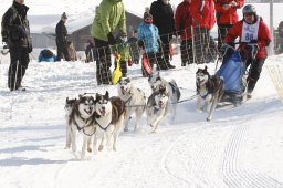 Lenk 2012 SM